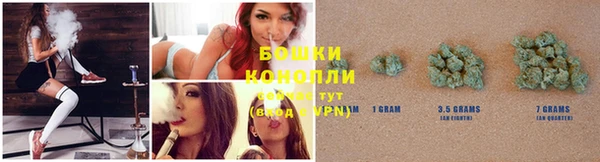 винт Верея