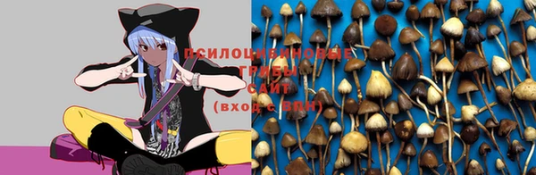 синтетический гашиш Волосово