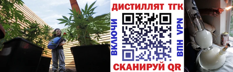ТГК гашишное масло  Дедовск 